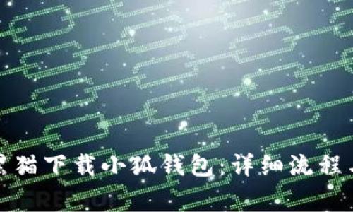 如何通过黑猫下载小狐钱包:详细流程与注意事项