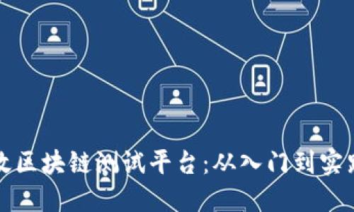 如何搭建高效区块链测试平台：从入门到实践的全面指南