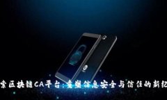 探索区块链CA平台：重塑信息安全与信