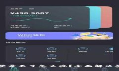 小狐钱包官网登录不了怎么办？全面解