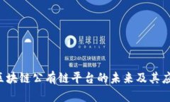  探索区块链公有链平台的未来及其应