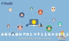全面解析区块链代维支付平台系统的优