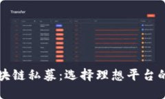 解密区块链私募：选择理想平台的全指