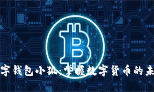 数字钱包小狐：掌握数字货币的未来