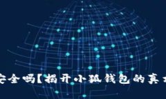 : 小狐钱包安全吗？揭开小狐钱包的真