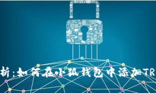 : 详细解析:如何在小狐钱包中添加TRON(波场)
